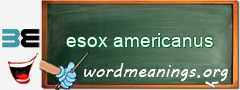 WordMeaning blackboard for esox americanus